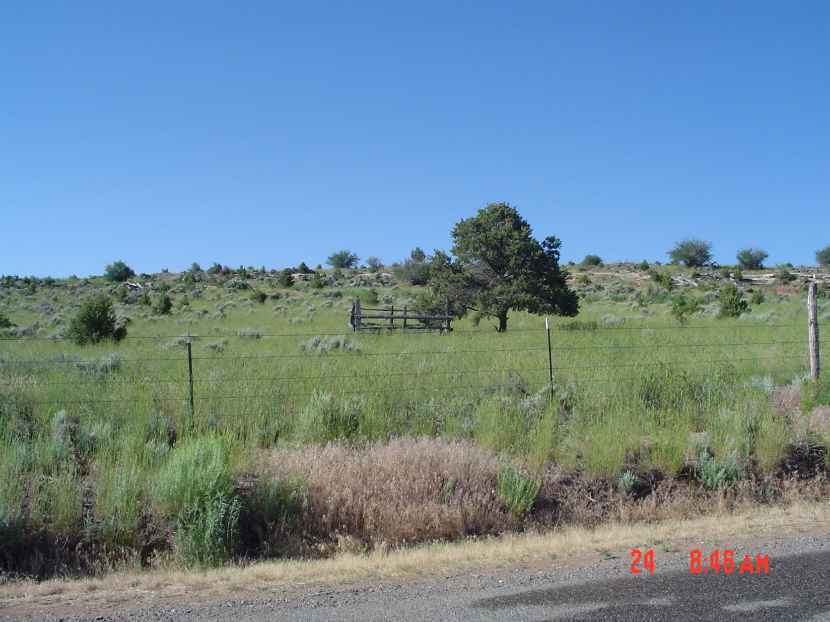 Little Park Cemetery